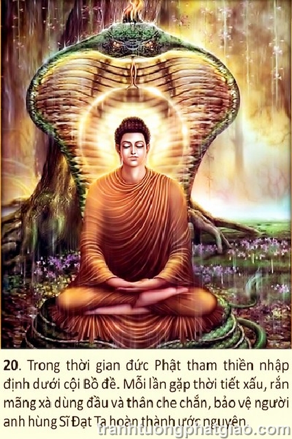 Lịch Sử Phật Thích Ca Mâu Ni Phật (1412)